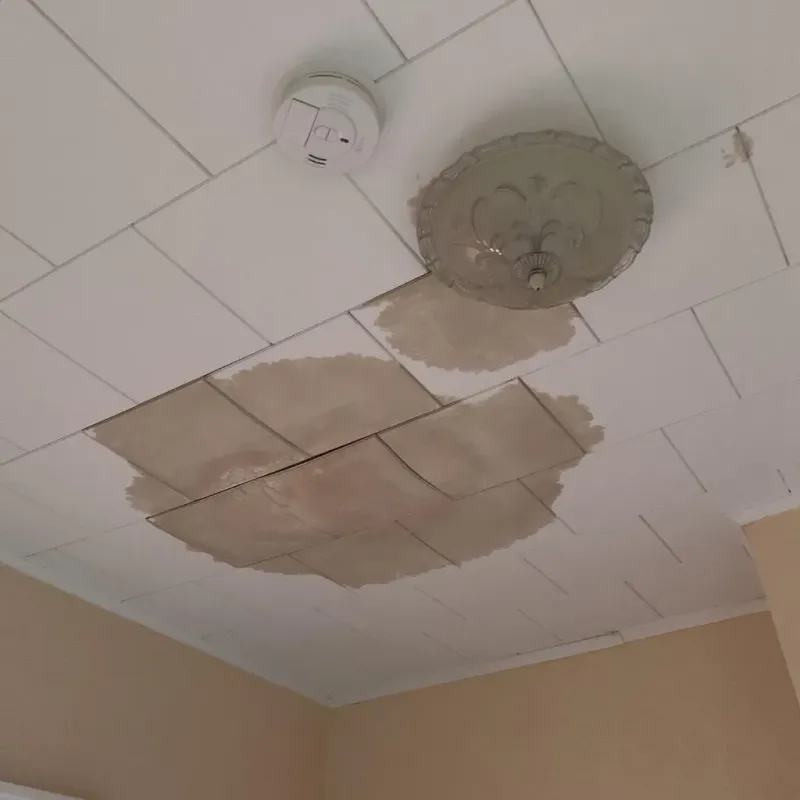 Ceiling Water Damage Repair in Leland Grove, IL