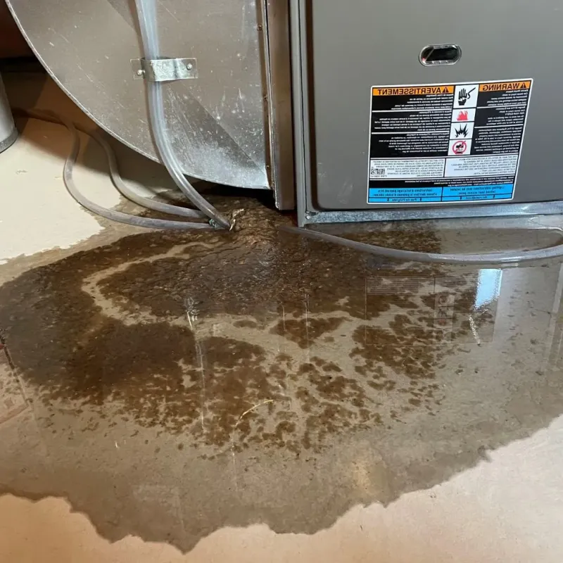 Pipe Burst and Leak Restoration in Leland Grove, IL