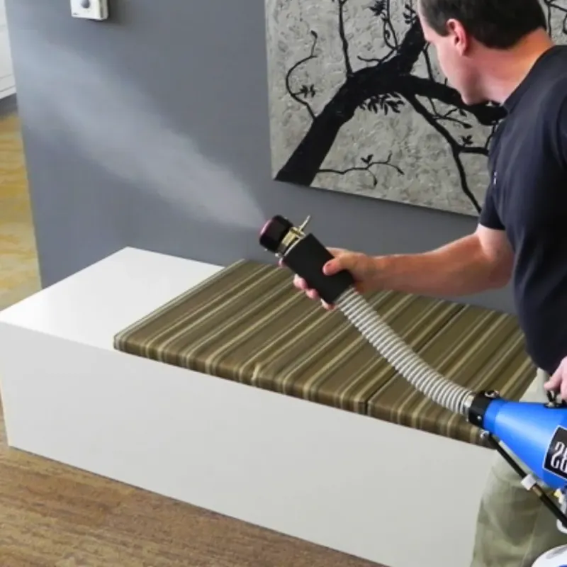 Professional Odor Removal in Leland Grove, IL