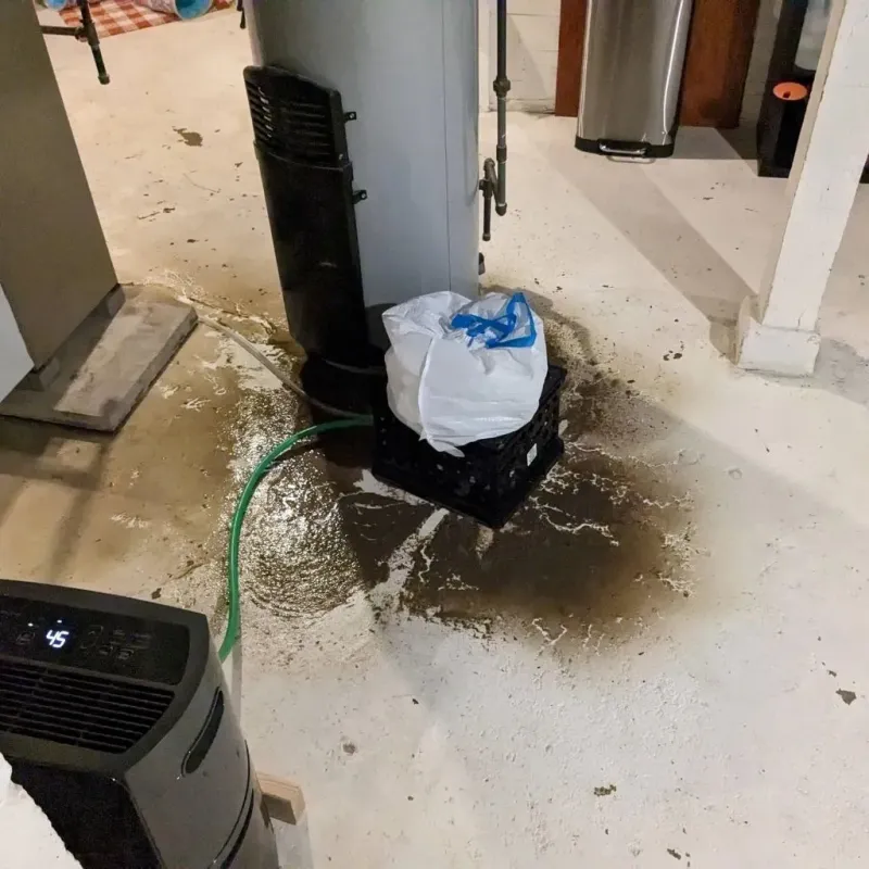 Sewage Backup Cleanup Service in Leland Grove, IL